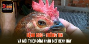 Bệnh CRD