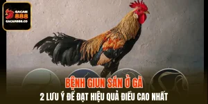 Bệnh Giun Sán Ở Gà