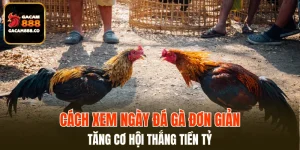 Cách Xem Ngày Đá Gà