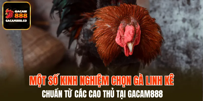 Cái gốc góp phần tạo nên các nhân tài tuyệt vời