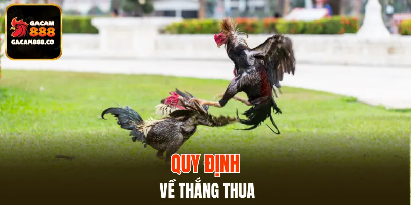 Chi tiết trinh tự phân xử thắng thua trong trận đấu