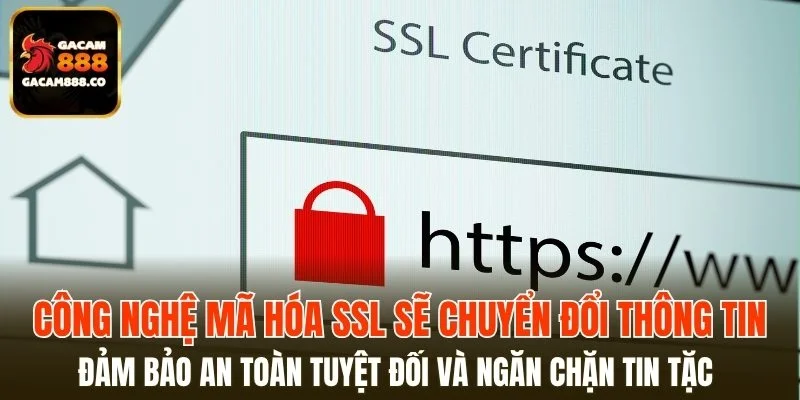 Công nghệ mã hóa SSL sẽ chuyển đổi thông tin