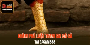 Cựa Dao