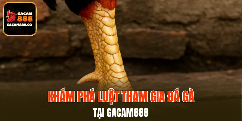 Cựa Dao
