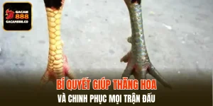Cựa Kim