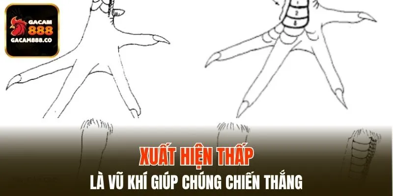 Đặc điểm này là vũ khí giúp chúng chiến thắng