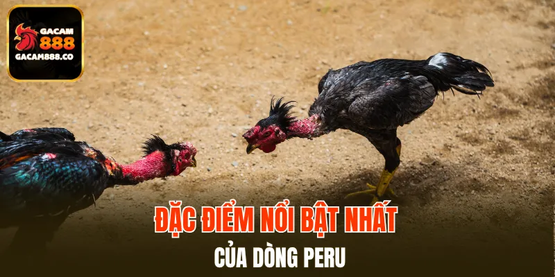 Đặc điểm nổi bật nhất của dòng Peru