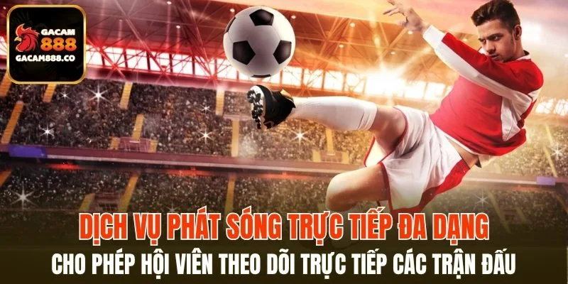 Dịch vụ phát sóng trực tiếp đa dạng