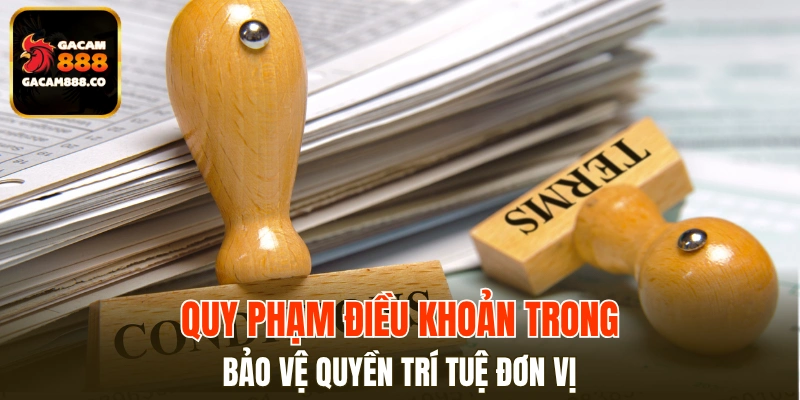 Điều khoản điều kiện bảo hộ tài sản trí tuệ của nền tảng