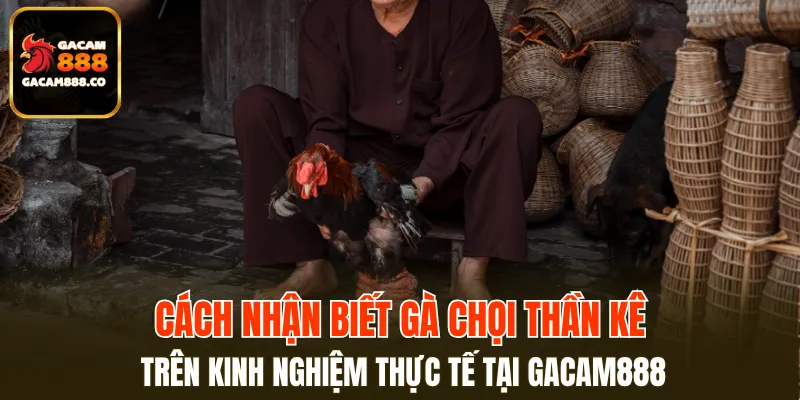Điều mà các sư kê cần quan tâm trong quá trình chọn lựa