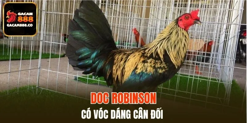 Doc Robinson có vóc dáng cân đối