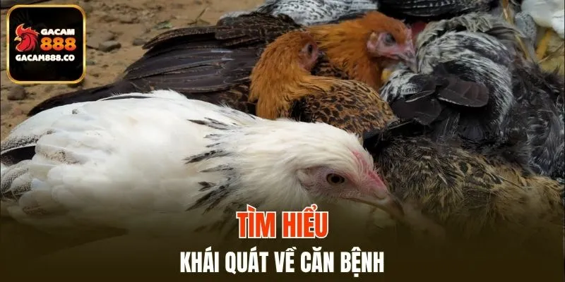 Đôi nét thông tin về loại bệnh