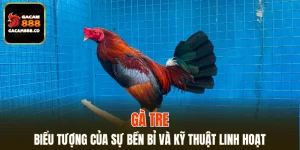 Gà Tre