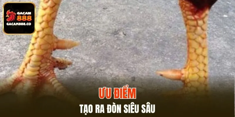 Gây ra đòn cực sâu