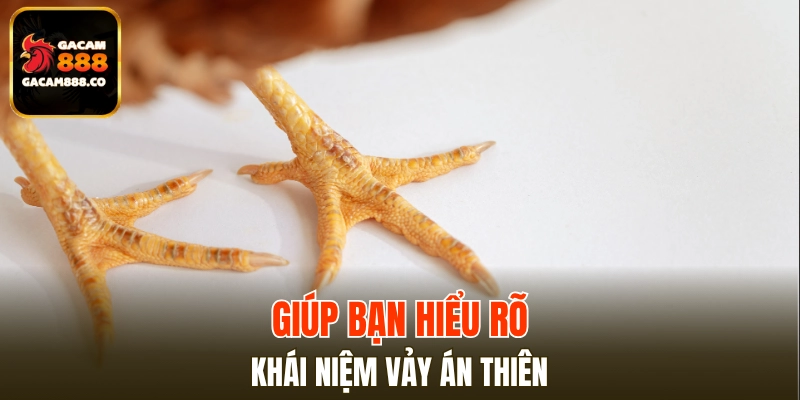 Giúp bạn hiểu rõ về khái niệm vảy gà Án Thiên