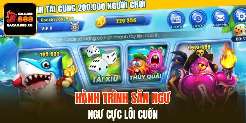 Hành trình săn ngư cực lôi cuốn