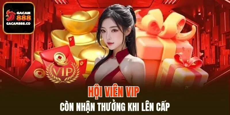 Hội viên VIP còn nhận thưởng khi lên cấp