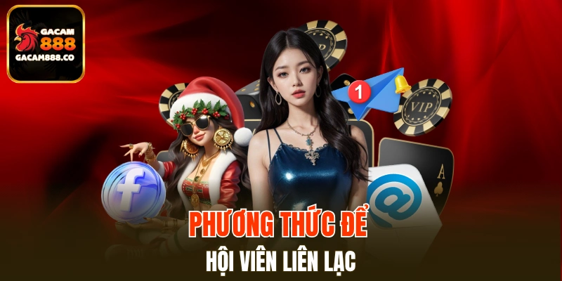 Kênh liên hệ hỗ trợ hội viên được nhà cái sử dụng là gì?