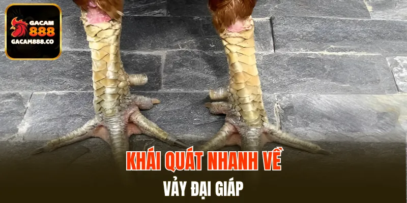 Khái quát nhanh về vảy Đại Giáp