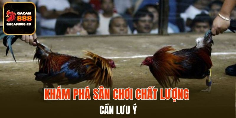 Khám phá sân chơi chất lượng bạn cần lưu ý