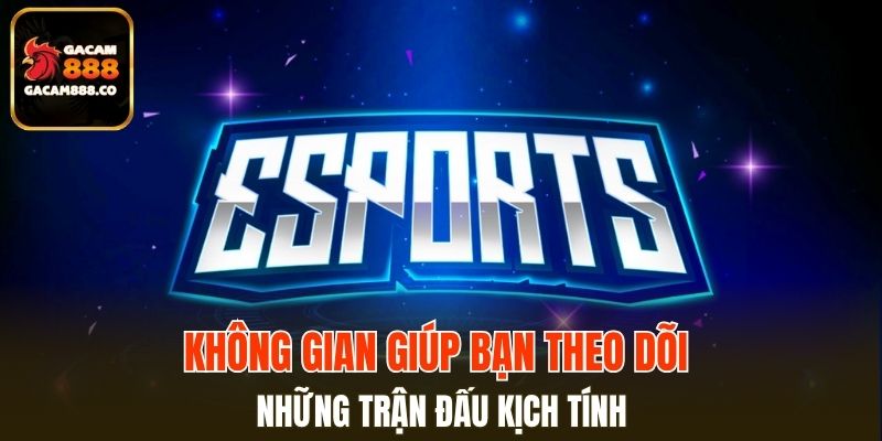 Không gian giúp bạn theo dõi những trận đấu kịch tính