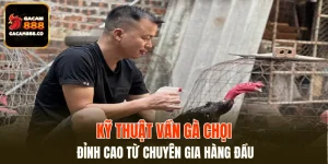 Kỹ Thuật Vần Gà Chọi