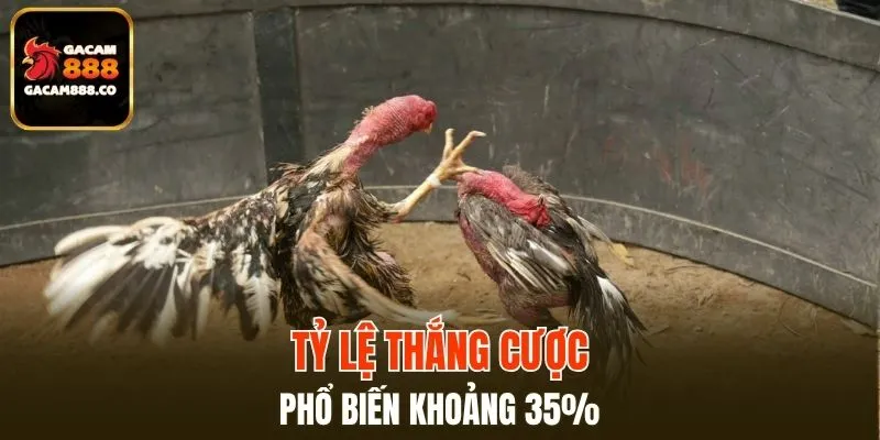 Lấy thông tin từ cuộc chiến trước để phân tích