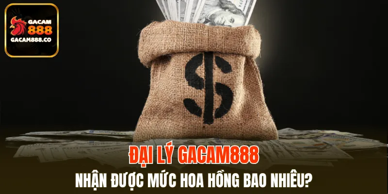 Lộ trình nhận hoa hồng siêu hấp dẫn cho người mới