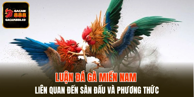 Luật đá gà miền Nam liên quan đến sàn đấu và phương thức