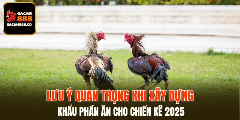 Lưu ý đặc biệt với chế độ dinh dưỡng cho gà đá
