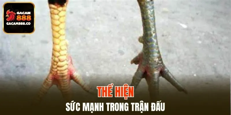 Mang đến sức mạnh vượt trội
