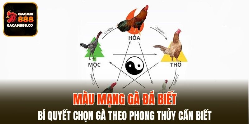 Màu Mạng Gà Đá