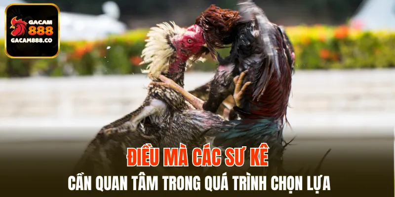 Mỗi chân một màu đem đến đòn đá như vũ bão
