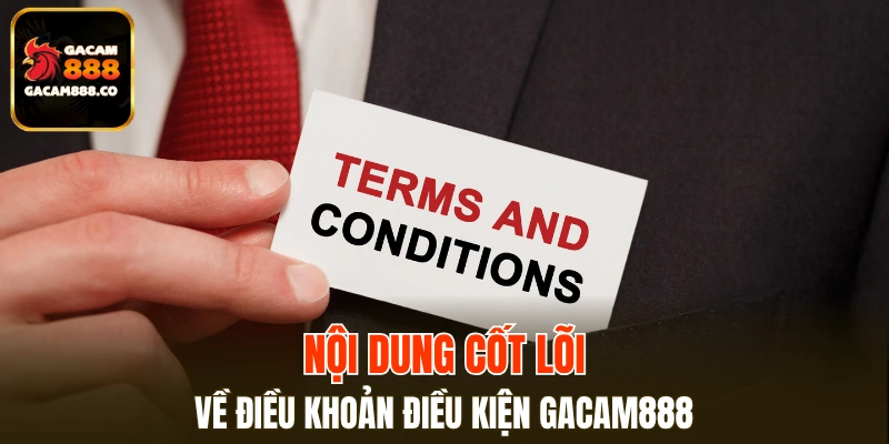 Người mới cần nắm rõ các điều khoản điều kiện sử dụng