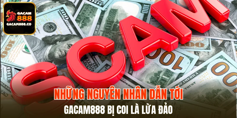 Nguyên nhân khiến xuất hiện nghi vấn GACAM888 lừa đảo