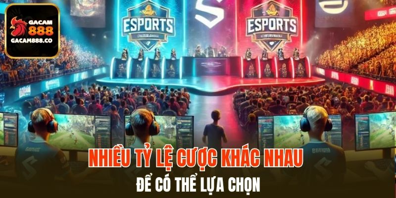 Nhiều tỷ lệ cược khác nhau để có thể lựa chọn