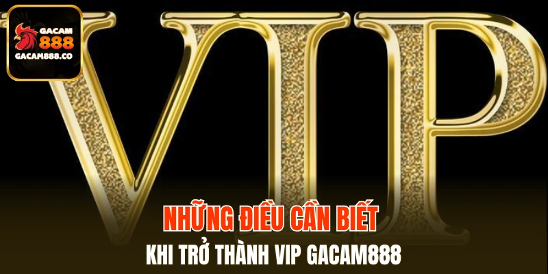 Những điều cần biết khi trở thành VIP GACAM888