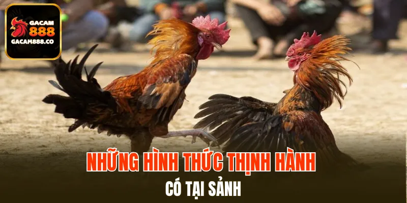 Những hình thức thịnh hành có tại sảnh