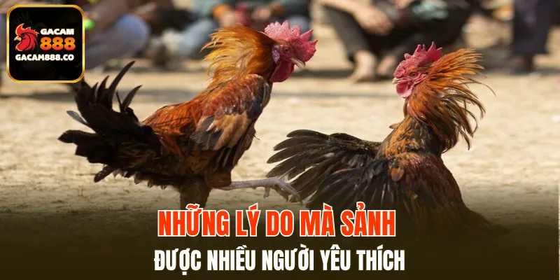 Những lý do mà sảnh được nhiều người yêu thích