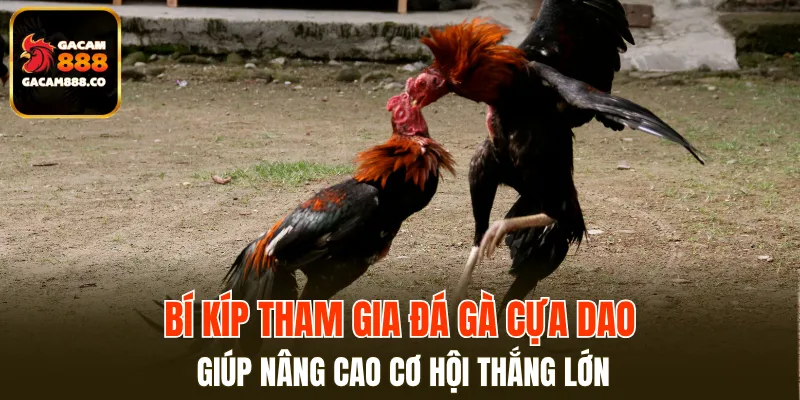 Những mẹo chơi vàng mà bất kỳ hội viên nào cũng cần