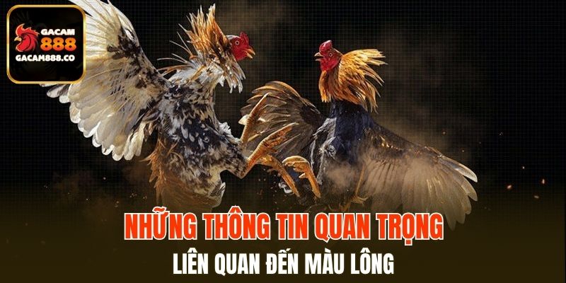 Những thông tin quan trọng liên quan đến màu lông