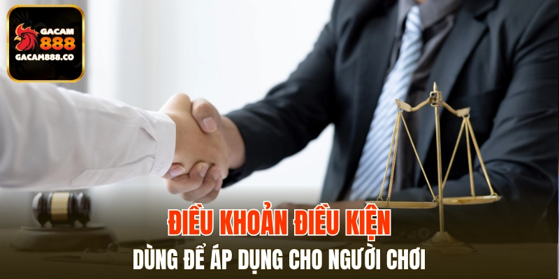 Nội dung điều khoản điều kiện áp dụng cho người chơi cá cược