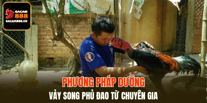 Phương pháp dưỡng vảy song phủ đao từ chuyên gia