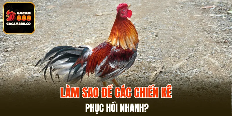 Quá trình kiểm tra và xử lý phải được thực hiện nhanh chóng