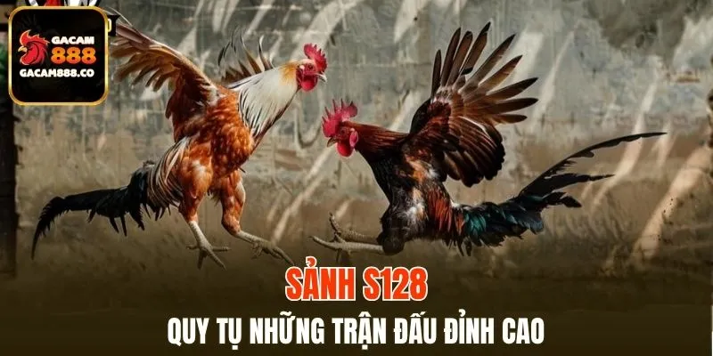 Sảnh S128 quy tụ những trận đấu đỉnh cao