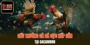 Sảnh Sabong