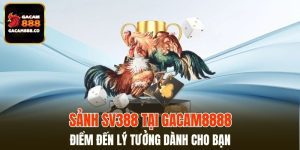 Sảnh SV388