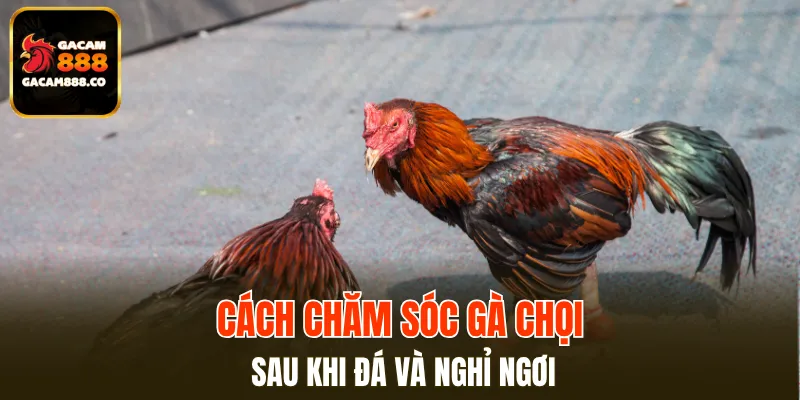 Sau khi chiến đấu cơ thể thường dễ bị mất nước