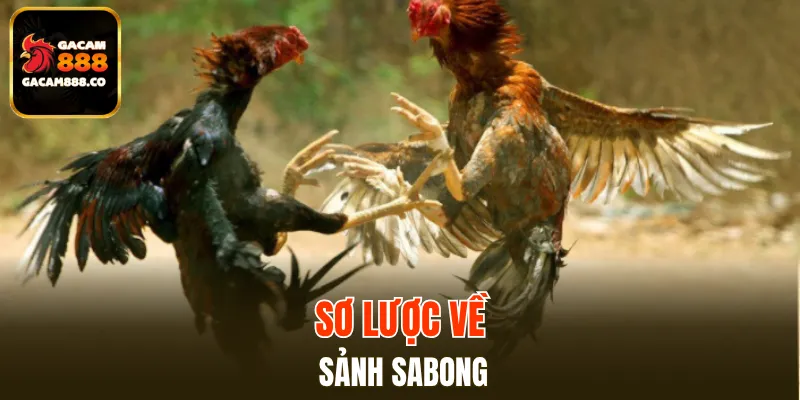 Sơ lược về sảnh Sabong