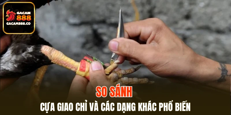 So sánh cựa giao chỉ và các dạng khác phổ biến